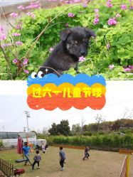-麦粒鸟亲子游