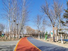 -大兴滨河森林公园