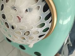-艾吉宠物医院·疑难杂症转诊中心·猫友好(碧江路院)