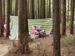 -山王坪喀斯特国家生态公园