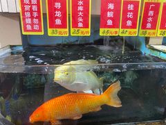 -鸿达渔港