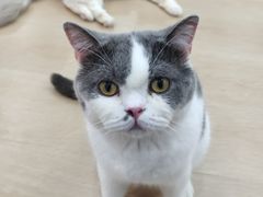 -1013 PET SHOP 宠物商店(近铁城市广场店)