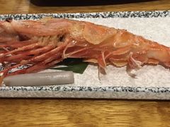 -渔藤(万柳东路店)