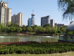 -新虹桥中心花园