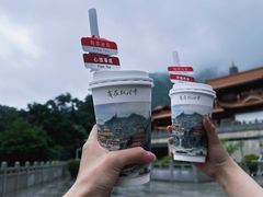 -深圳仙湖植物园