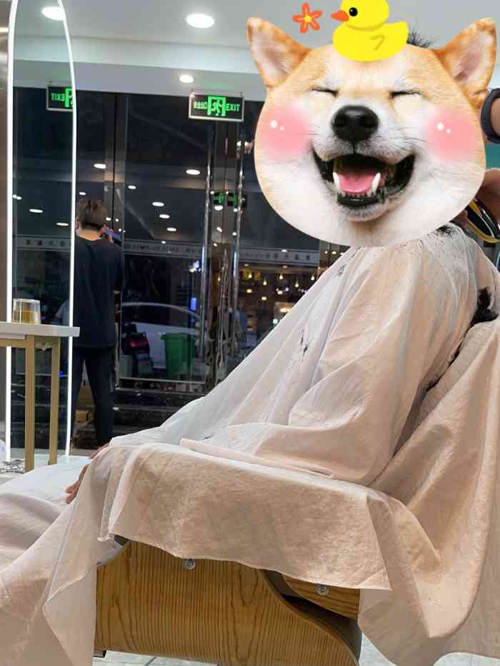 艾伦护肤造型(海阳路店)-"【项目】剪发 染发 烫发现在的理发店大.