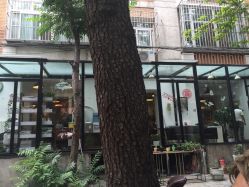 -大象造型