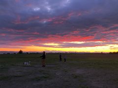 -Steveston Pizza Company (Richmond)