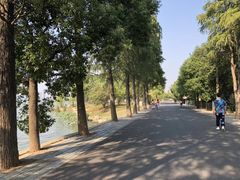 -东湖落雁景区