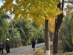 -白鹭湾湿地公园