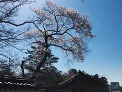 -景福宫