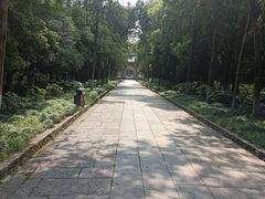 -灵谷景区