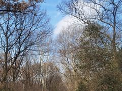 -WeLope紫金山探险公园
