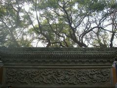 -普陀山风景名胜区-法雨禅寺