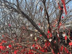 -祥源·阜阳生态乐园