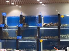 -品味居·首店·大连鲜活海鲜大连菜(东港店)