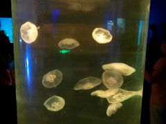 -福州罗源湾海洋世界旅游区