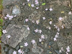 -鄣山大峡谷