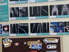 -安安宠医宠物医院·异宠·犬猫内科(岳阳分院)