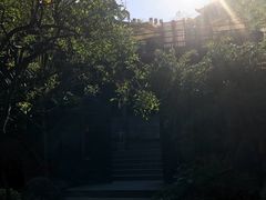 -金鸡山公园