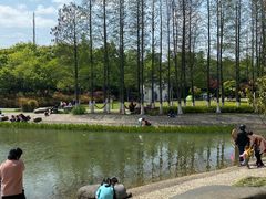 -昆山城市公园