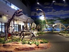 -自贡恐龙博物馆