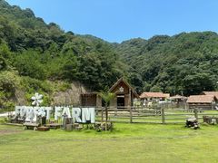 -龙岩森林水乡景区