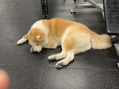 -YCHL Studios健身工作室(市二宫店)