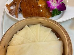 -九花山烤鸭店