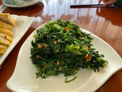 -品雅轩农家乐