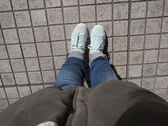 -东京都厅舍
