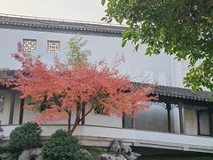 -秋霞圃