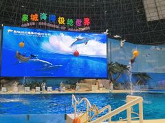 -泉城欧乐堡海洋极地世界