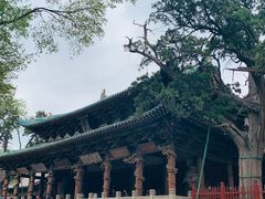 -晋祠公园