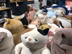 -九木杂物社(大族广场店)