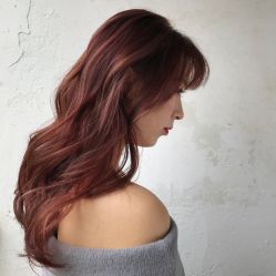 点击看大图 -金棕榈