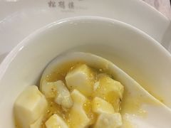 -松鹤楼(狮山永利广场店)