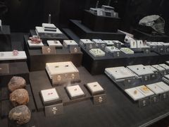-烟台自然博物馆