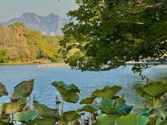 -江心屿景区