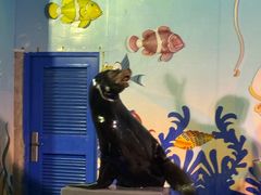 -太平洋海底世界