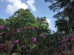 -华南国家植物园-售票处