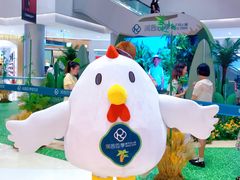 -润园四季椰子鸡火锅(南山海岸城店)