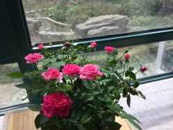 -Union瑜伽健康管理中心