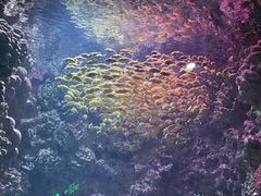 -海合安青岛极地海洋公园