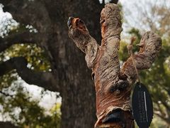 -Pain des Philosophes