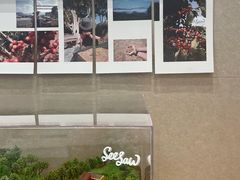 -Seesaw Coffee(武商MALL·武广店)