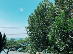 景观位-Vanilla Specialty Coffee(八大关店)