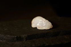 -藏晶堂(丰盛里店)