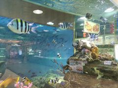 -渔民新村(番禺总店)