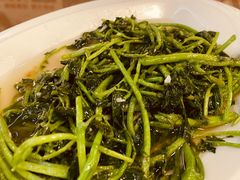 -新城餐厅(吉祥北街店)